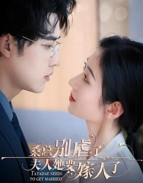 短剧免费看 总裁的第九十九次告白 在线播放